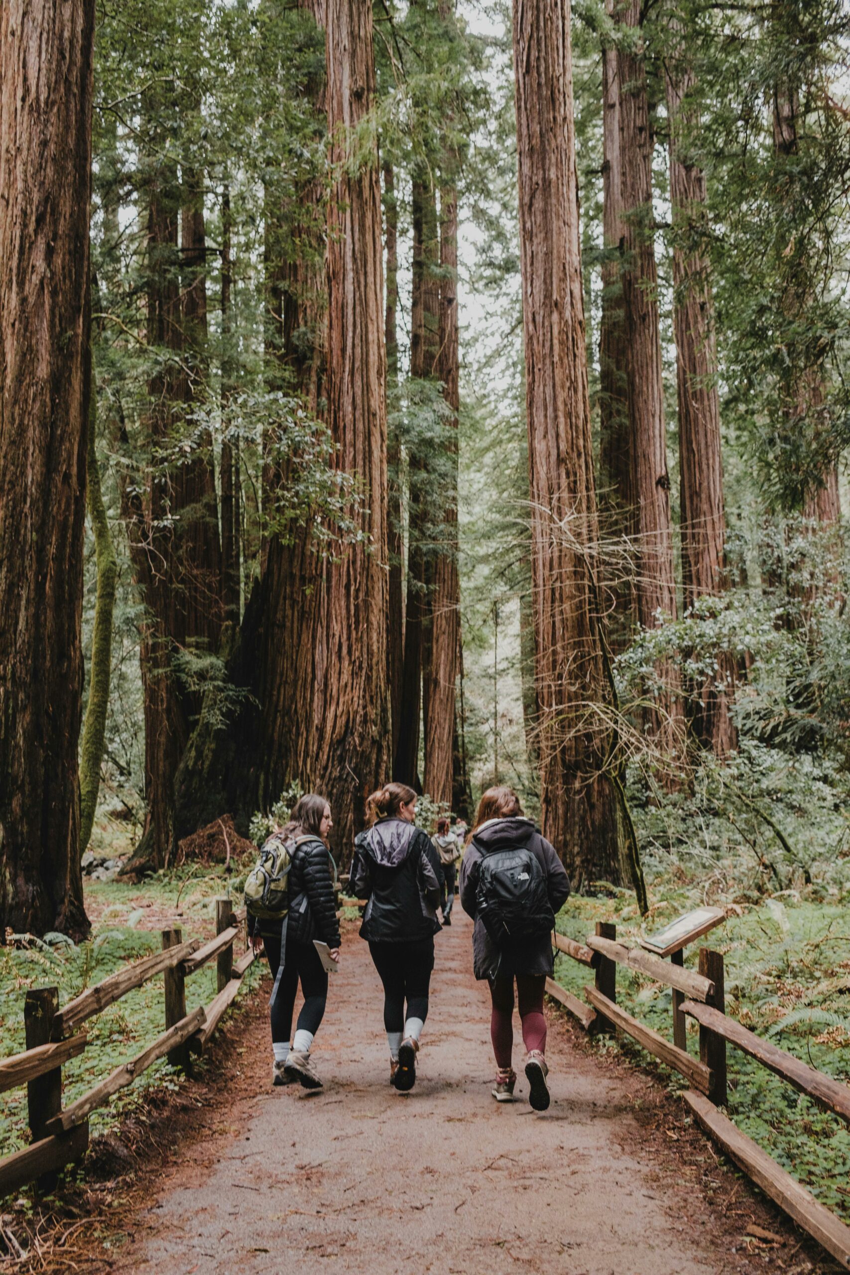 What Are Some De-stress Activities?