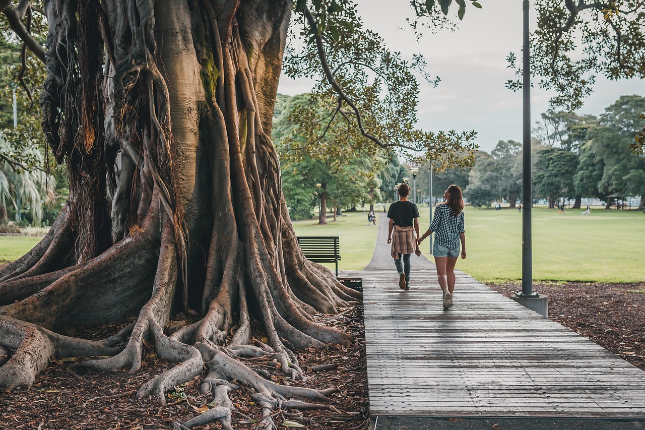 What Is The Single Most Important Thing You Can Do For Stress?
